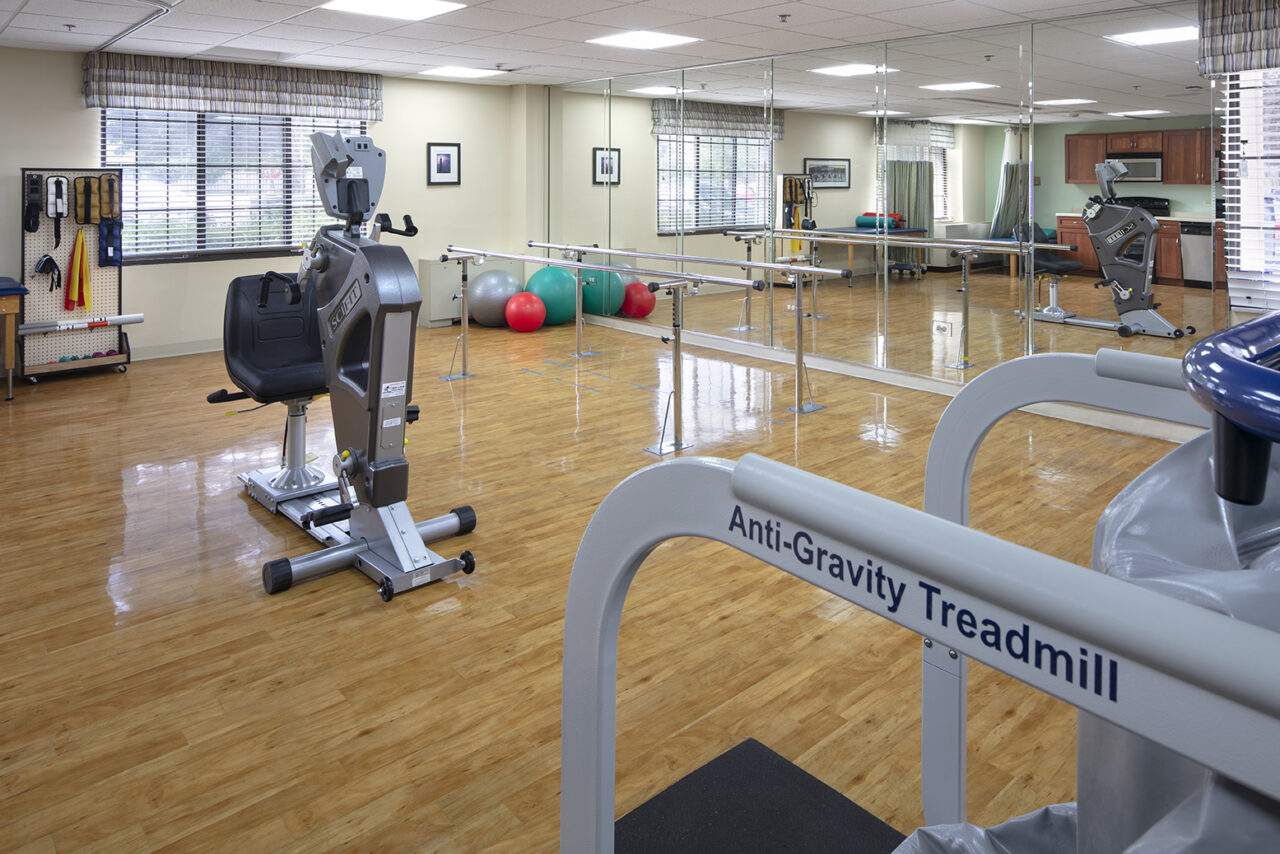 Bella Terra 8211 WHEELING 8211 Gym 8211 SMALL